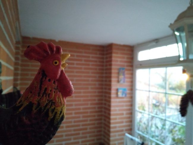 Foto macrop con el Motorla Moto G5S Plus