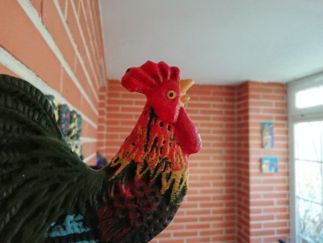 Foto macro con el Huawei P smart
