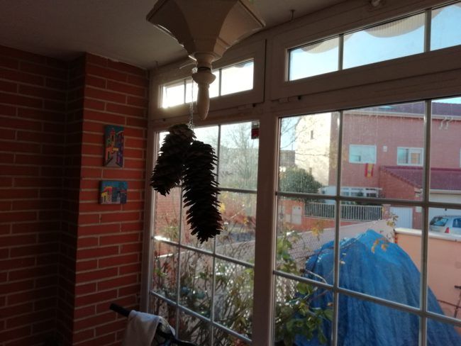Foto a contraluz con el Huawei P smart