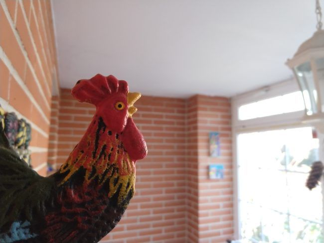 Foto macro con el Motorola Moto X4
