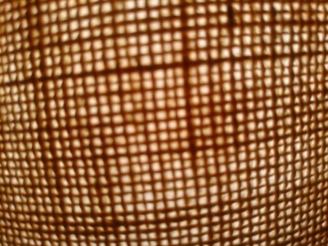 Luz tenue en foto con el ZTE Axon M