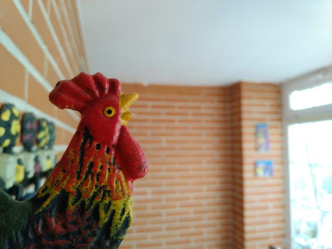 Foto macro con el ZTE Axon M