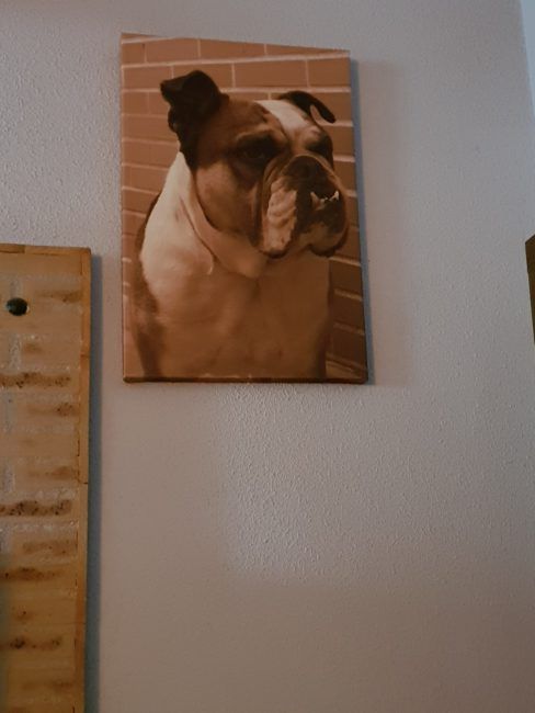 Foto zoonm 2x con el Samsung Galaxy S9+