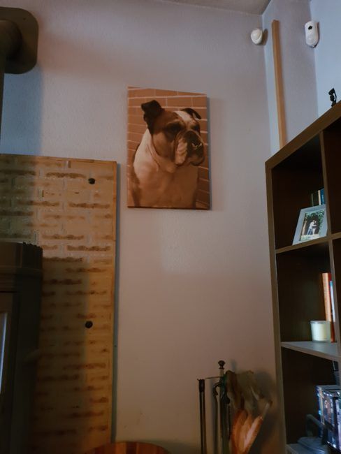 Foto en automático Samsung Galaxy S9+