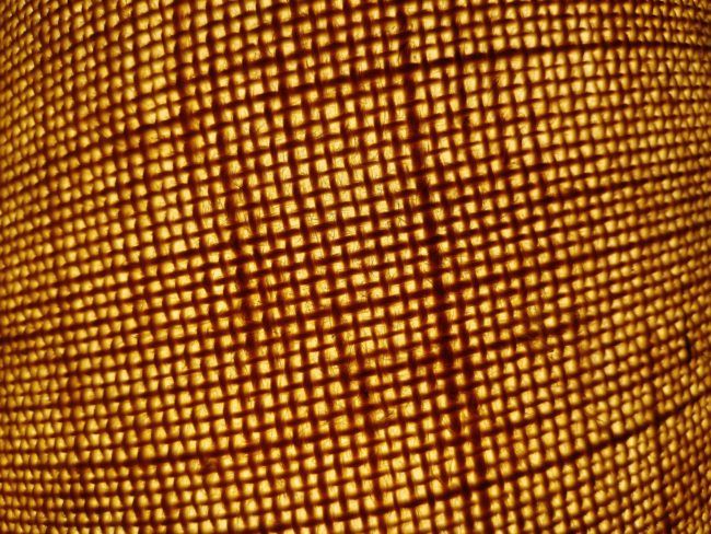Foto a luz tenue directa con el ZTE Blade V9
