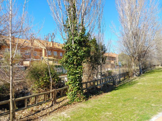 Foto con HDR hecha con el ZTE Blade V9