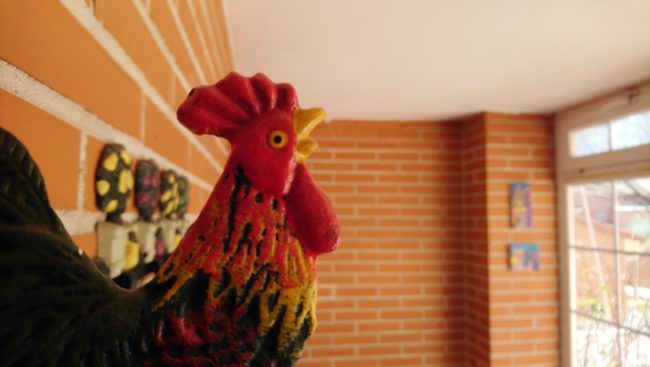 Fotomacro con el Sony Xperia XA2