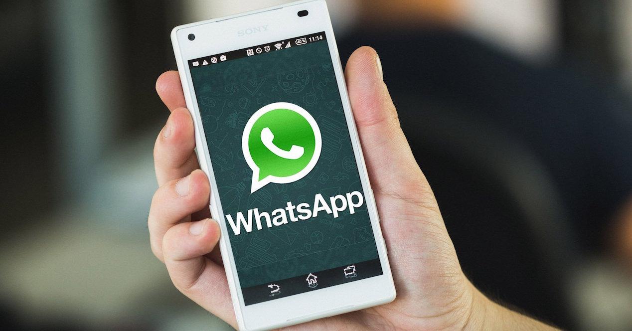 App que muestra qué números se conectan al mismo tiempo en WhatsApp
