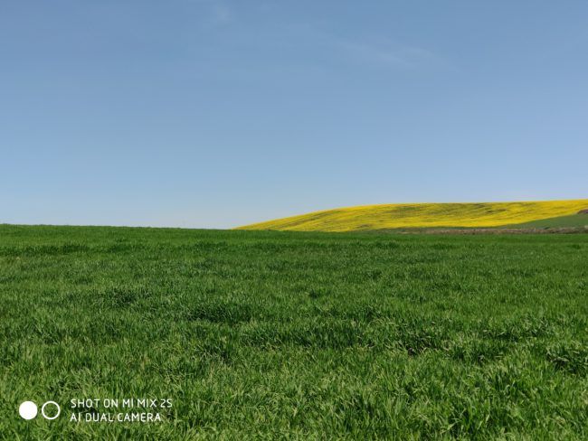Foto con el Xiaomi Mi Mix 2S