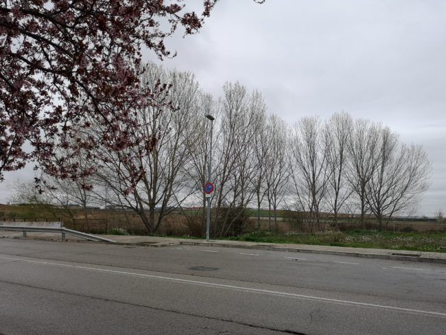 Foto sin utilziar zoom con el Huawei P20 Pro