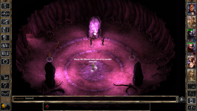 Baldur's Gate II: Enhanced Edition rebajado
