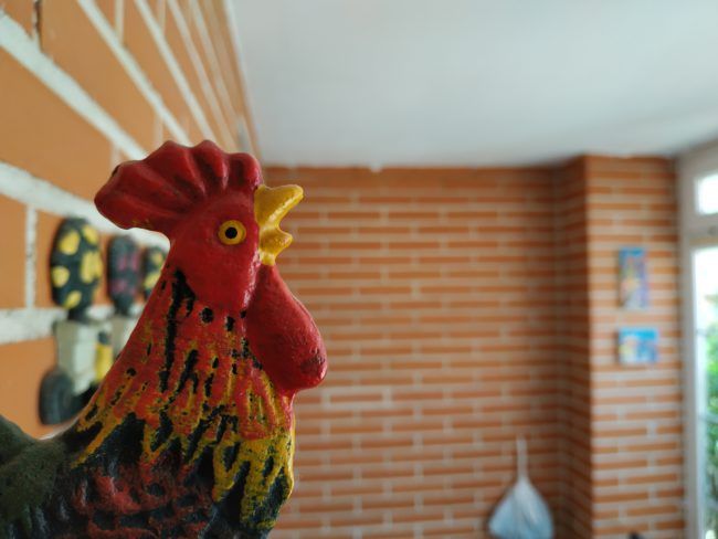 Foto macro con el Xiaomi Redmi Note 5