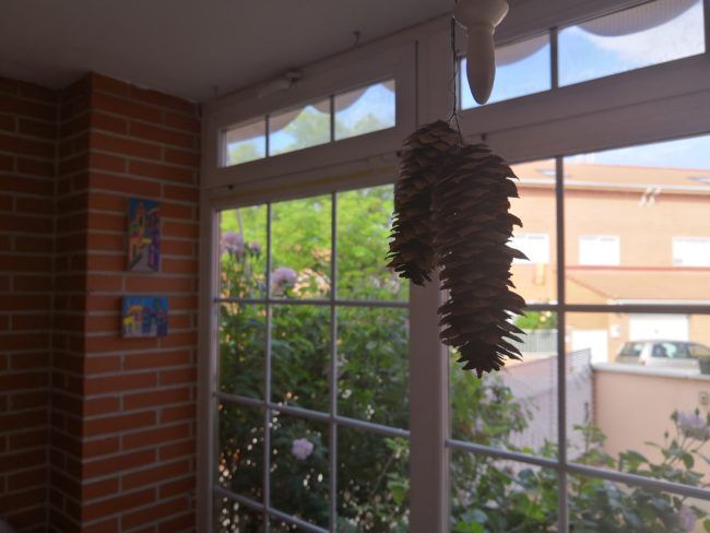 Foto a contraluz con el Honor 10