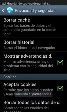 eliminar el historial de búsqueda de tu smartphone-stock browser