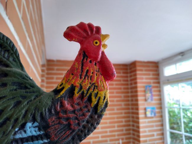 Foto macro con el Moto G6 Play