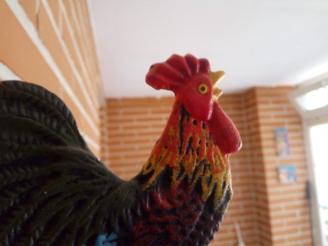 Foto macro con el Alcatel 3X