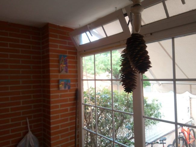 Foto a contraluz con el Alcatel 3X