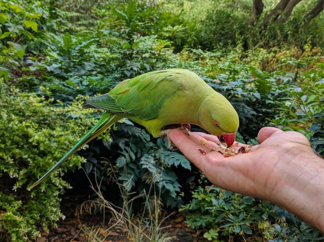 Google-Pixel-3-XL-primeras fotografias de su cámara