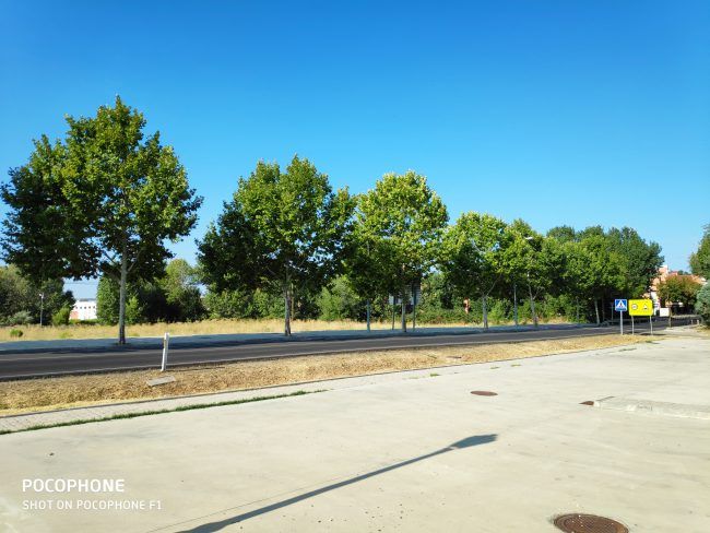 Foto en automática con el Pocophone F1