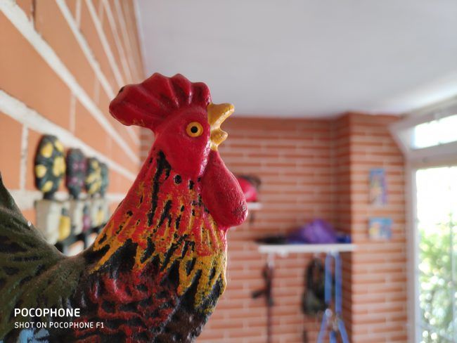 Foto macro Pocophone F1
