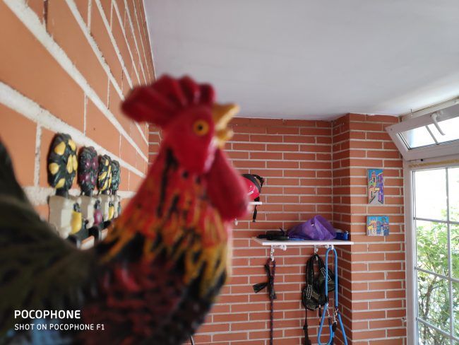Foto a infinito con el Pocophone F1
