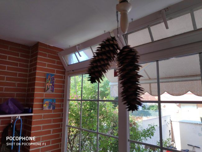 Foto a contraluz con el Pocophone F1