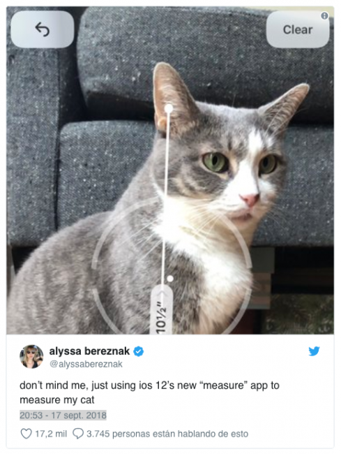 app measure gatos