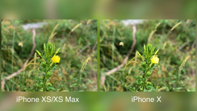 camara iphone xs vs camara iphone x