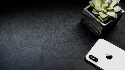 iPhone X