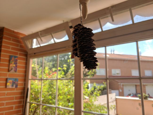 Foto a contraluz Pixel 3 XL