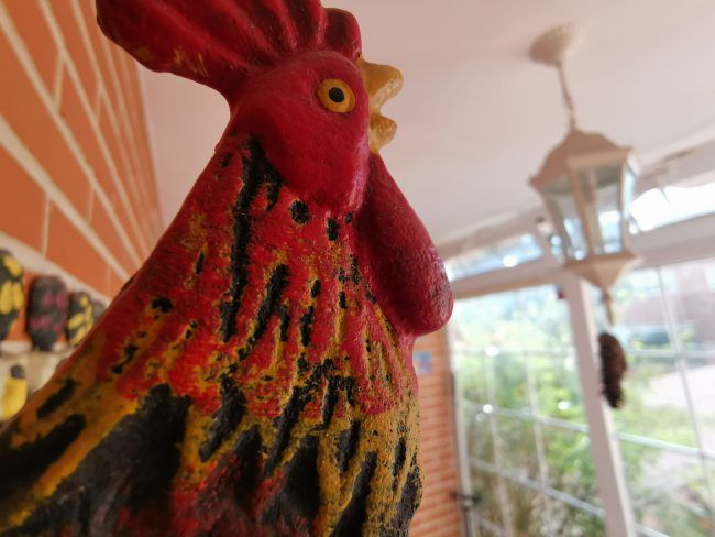 Foto macro Huawei Mate 20