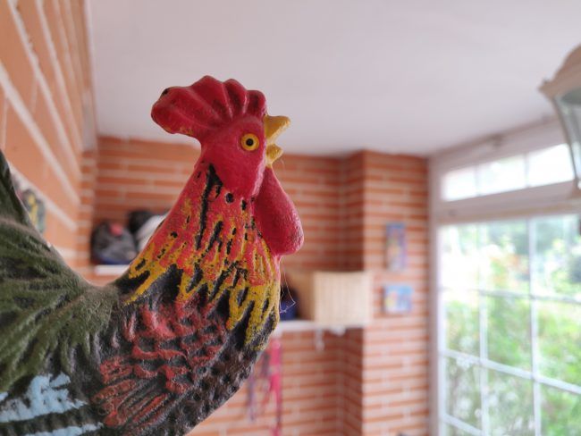 Foto macro con el OnePlus 6T