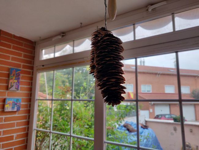 Foto a contraluz con el OnePlus 6T