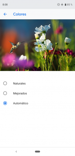 Opciones pantalla en el Pixel 3 XL
