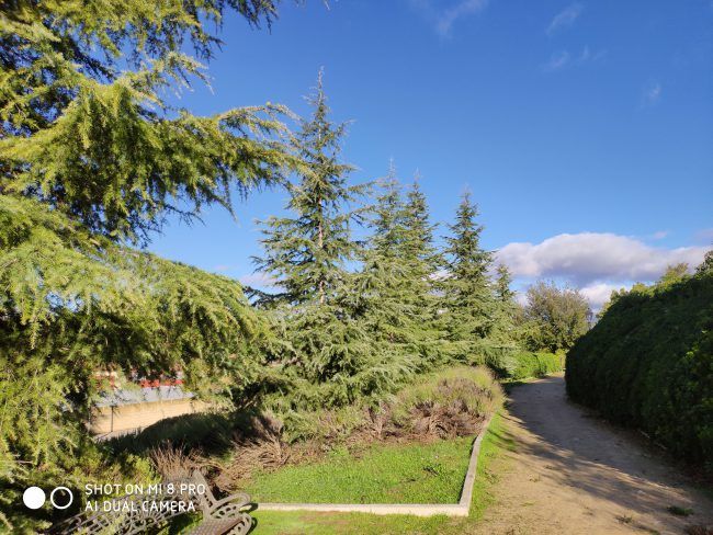 Corrección HDR Xiaomi Mi 8 Pro