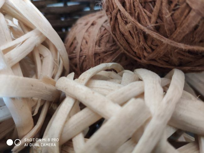 Foto varios enfoques Xiaomi Mi 8 Pro