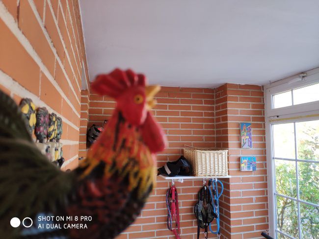 Foto a infinito Xiaomi Mi 8 Pro