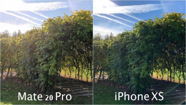 Foto vegetación comparado Huawei Mate 20 Pro y el iPhone XS