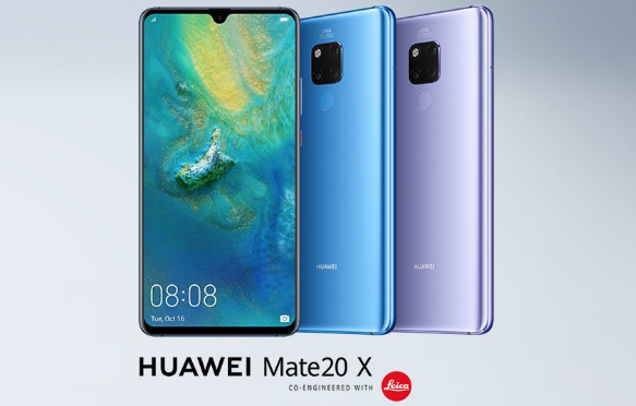mate 20 x