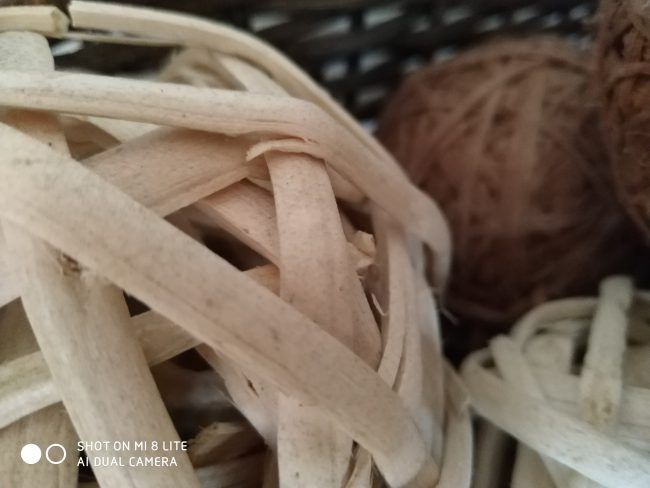 Foto a varios enfoques con el Xiaomi Mi 8 Lite