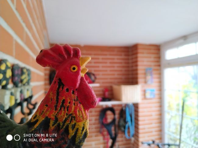 Foto macro con el Xiaomi Mi 8 Lite
