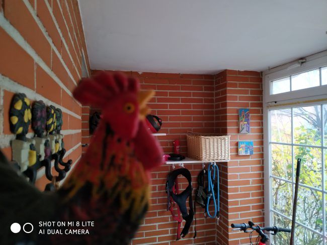 Foto a infinito con el Xiaomi Mi 8 Lite