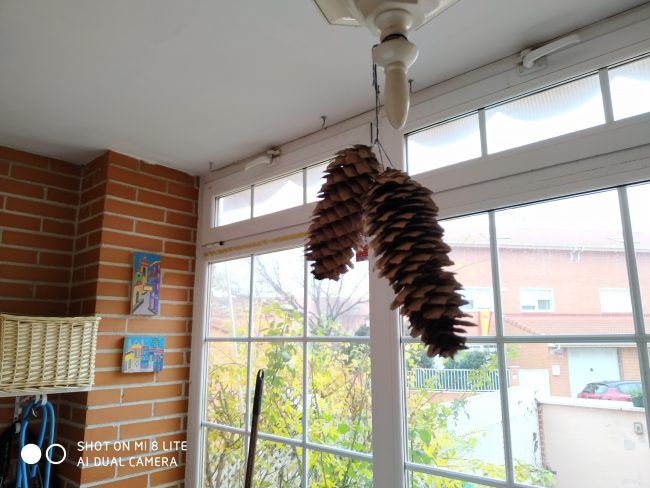 Foto a contraluz con el Xiaomi Mi 8 Lite