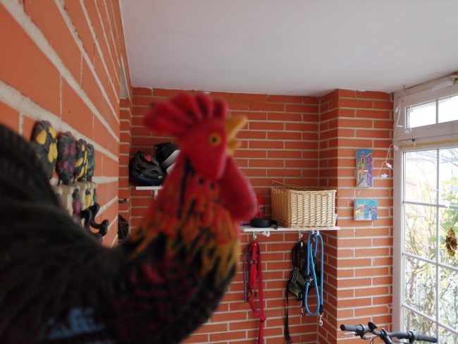 Foto a infinito con el Huawei P Smart 2019