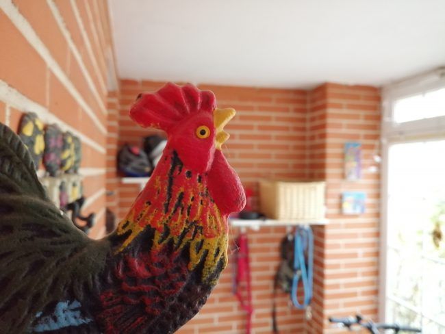 Foto macro con el Huawei P Smart 2019