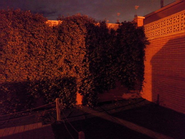 Foto con Modo noche