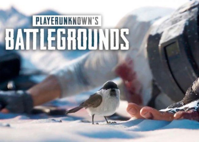 pubg nieve