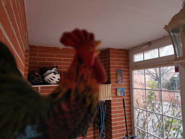 Foto a infinito con el Honor View20
