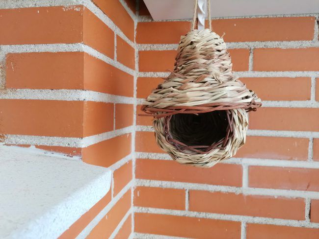 Foto en automático Honor View20