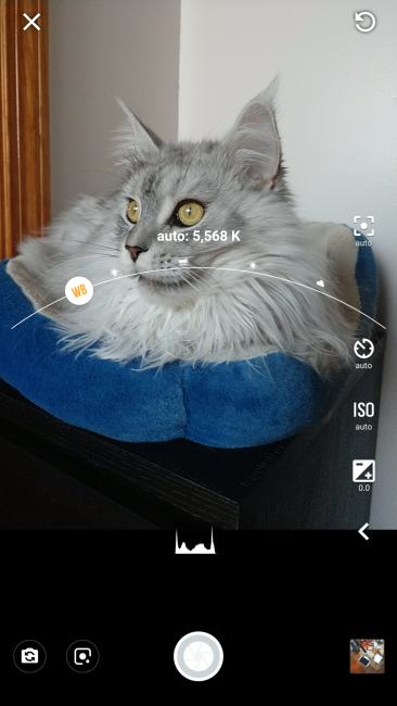 Motocam2